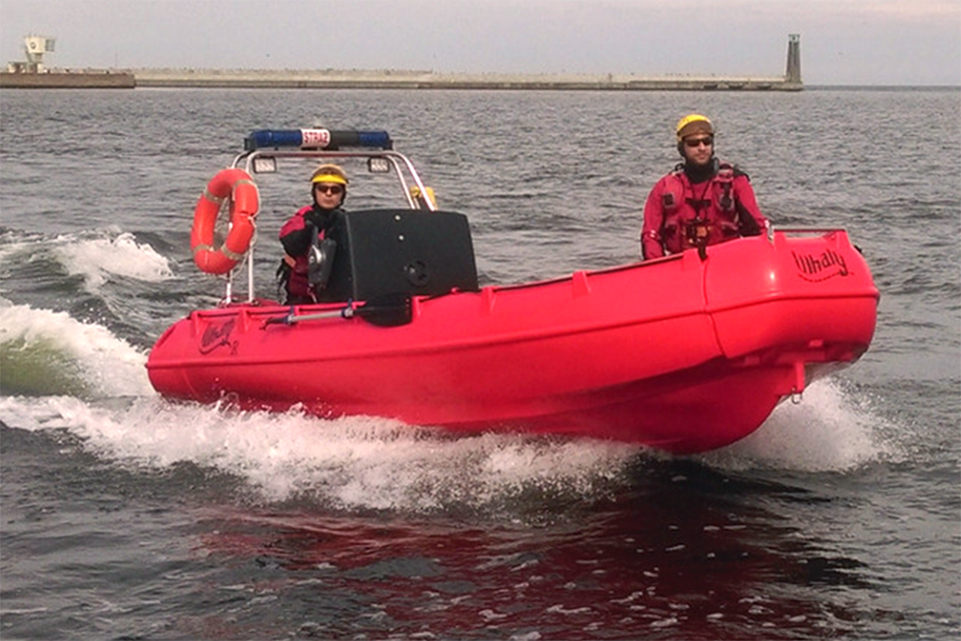 Picture of Whaly 500R80 Professional 2