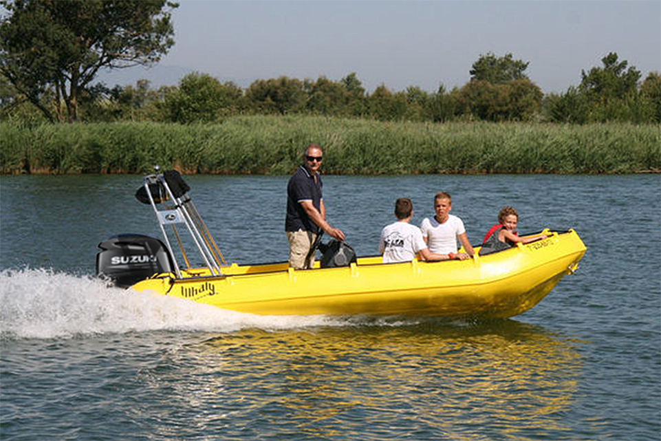 Picture of Whaly 500R80 Professional 7